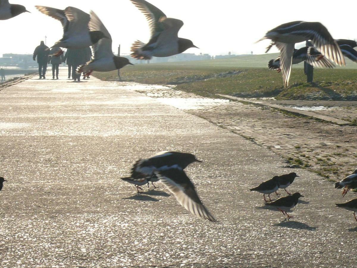 Ferienwohnung Osterdeich Horumersiel Zewnętrze zdjęcie